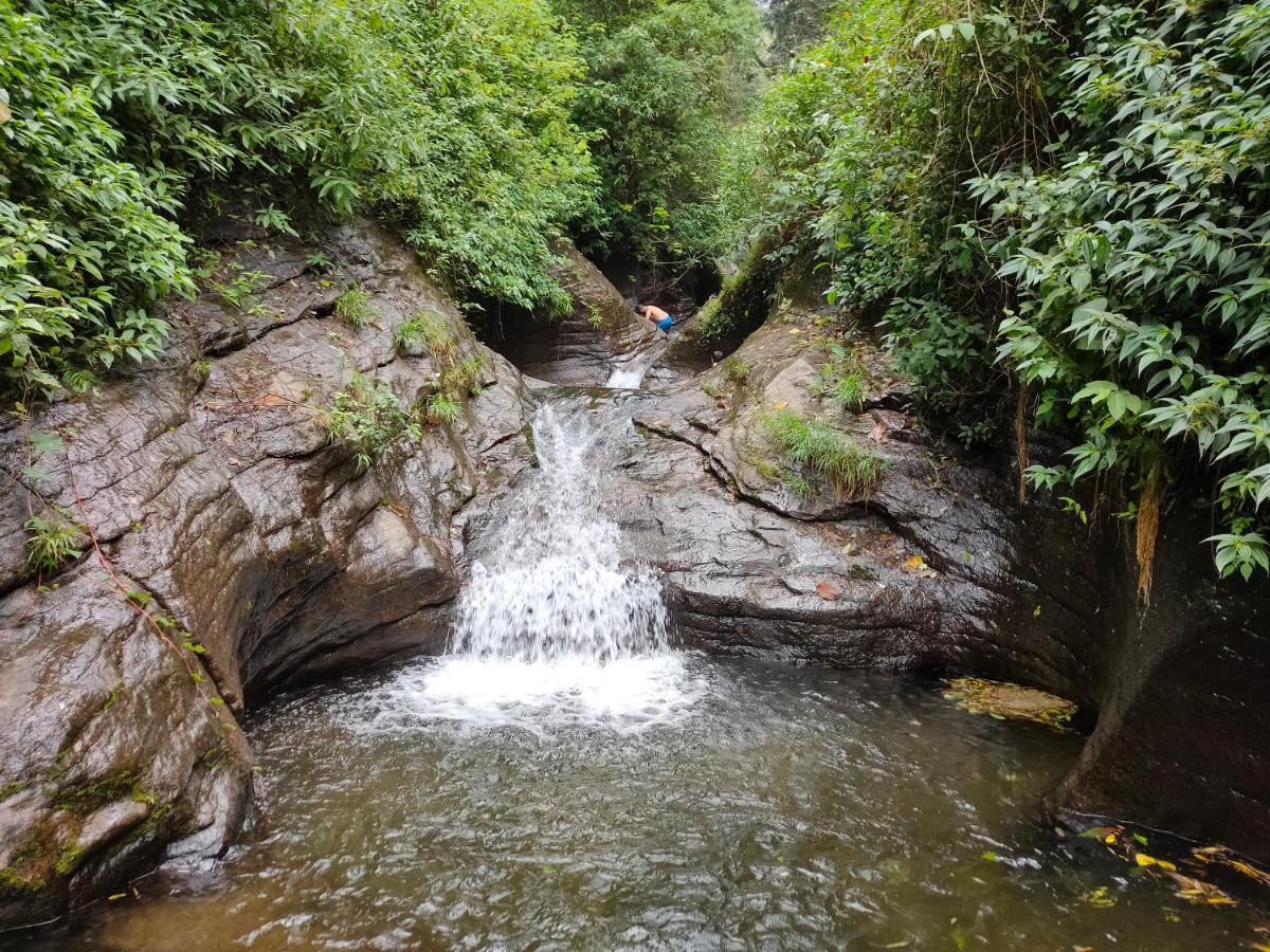 Villoonnickal Homestay Munnar Dış mekan fotoğraf