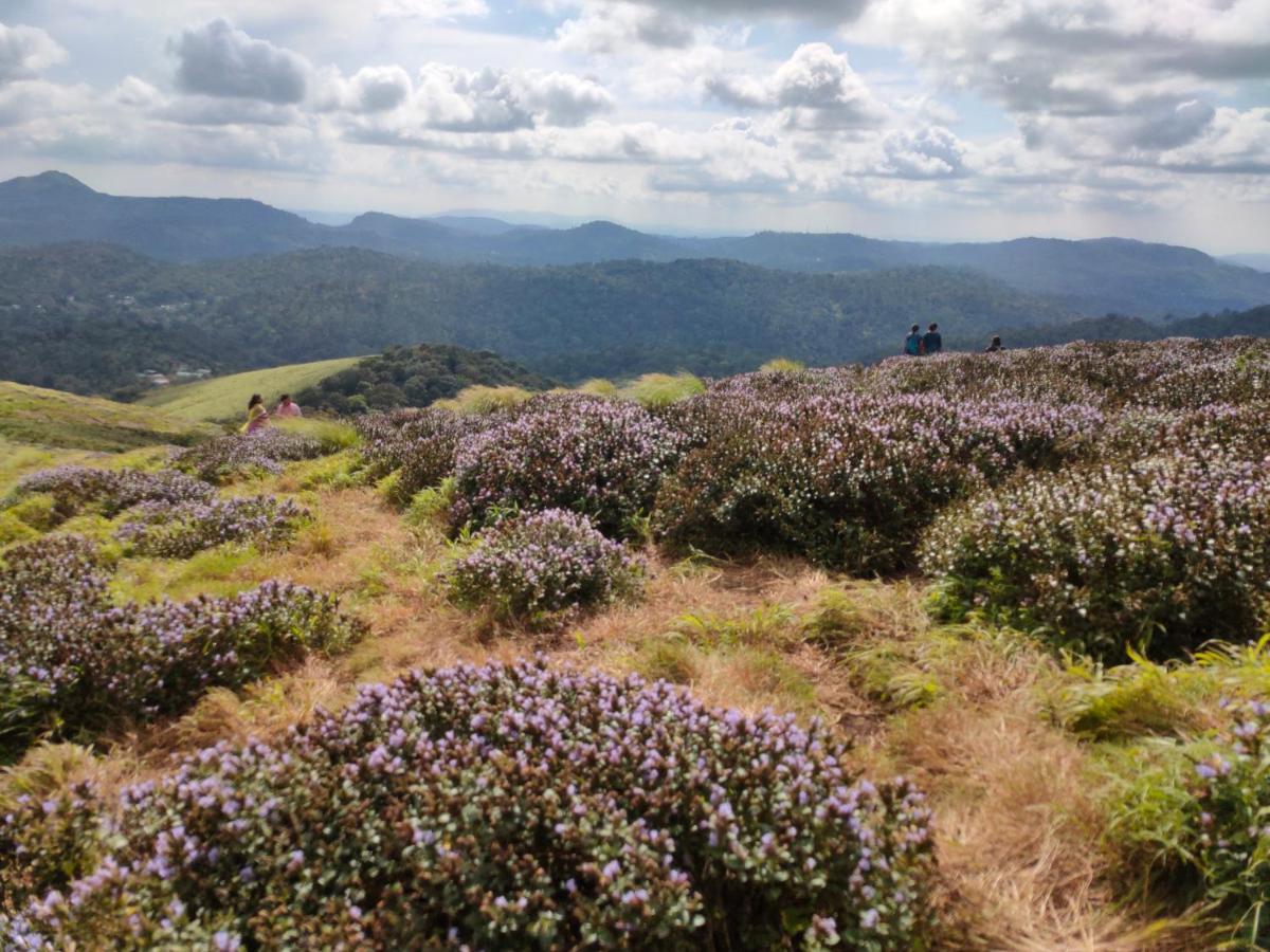 Villoonnickal Homestay Munnar Dış mekan fotoğraf